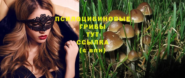 соль курить ск Белокуриха