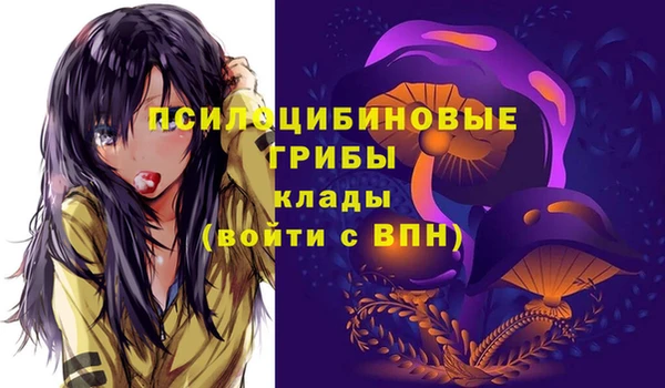 ECSTASY Беломорск