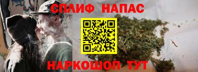 скорость Гатчина