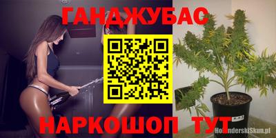 скорость Гатчина