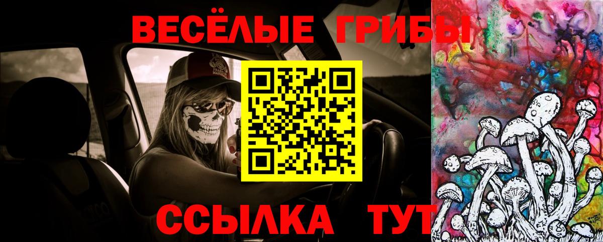 Псилоцибиновые грибы Cubensis  Вход с VPN  что такое наркотик  Надым  Галлюциногенные грибы Psilocybe 